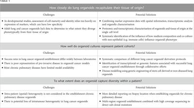 Open questions in human lung organoid research